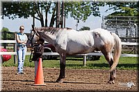 4H-2nd-10__0617.jpg