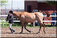 4H-2nd-10__0619.jpg