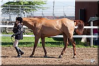 4H-2nd-10__0620.jpg