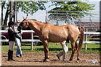 4H-2nd-10__0621.jpg