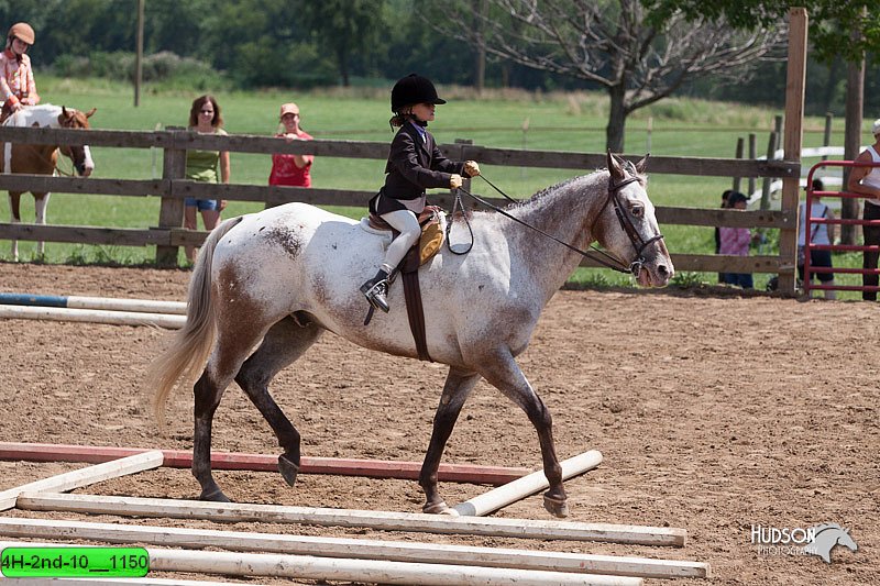 4H-2nd-10__1150.jpg