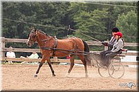 4H-3rd-10_1123.jpg