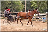 4H-3rd-10_1127.jpg