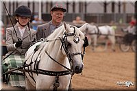 4H-3rd-10_1130.jpg