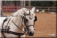 4H-3rd-10_1131.jpg