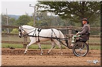 4H-3rd-10_1136.jpg