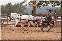 4H-3rd-10_1137.jpg