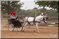 4H-3rd-10_1148.jpg