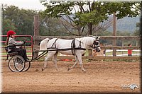 4H-3rd-10_1150.jpg