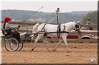 4H-3rd-10_1152.jpg