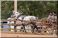 4H-3rd-10_1156.jpg