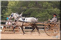 4H-3rd-10_1157.jpg
