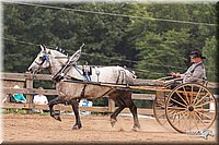 4H-3rd-10_1158.jpg