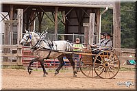 4H-3rd-10_1159.jpg