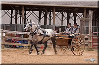 4H-3rd-10_1160.jpg