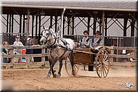 4H-3rd-10_1161.jpg