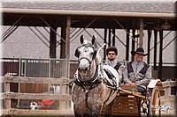 4H-3rd-10_1162.jpg