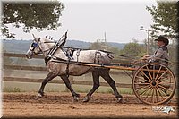 4H-3rd-10_1163.jpg