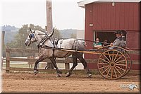 4H-3rd-10_1166.jpg
