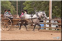 4H-3rd-10_1168.jpg