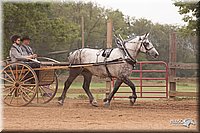 4H-3rd-10_1169.jpg