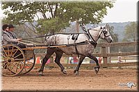 4H-3rd-10_1170.jpg
