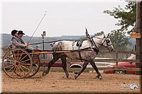 4H-3rd-10_1171.jpg