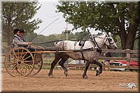 4H-3rd-10_1174.jpg