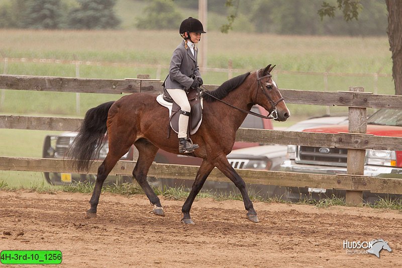 4H-3rd-10_1256.jpg