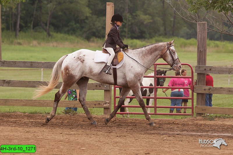 4H-3rd-10_1271.jpg