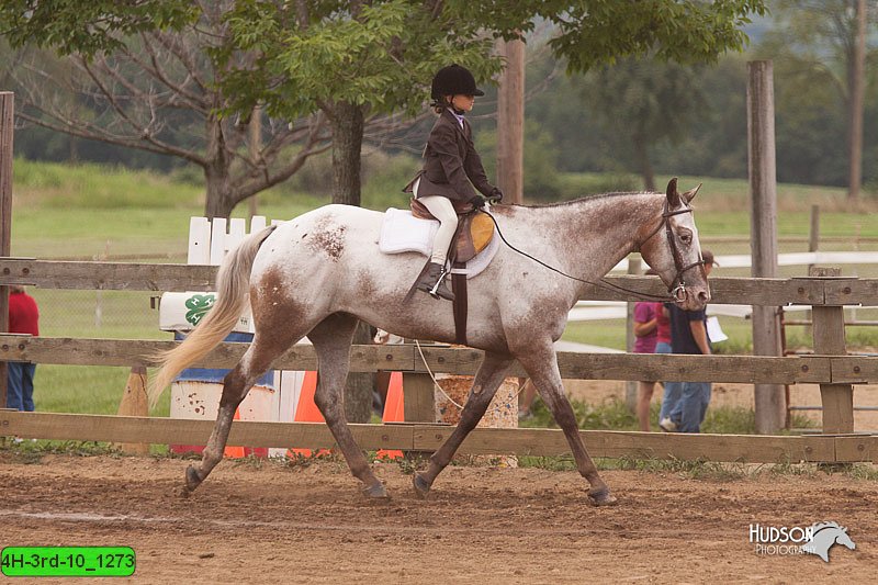 4H-3rd-10_1273.jpg