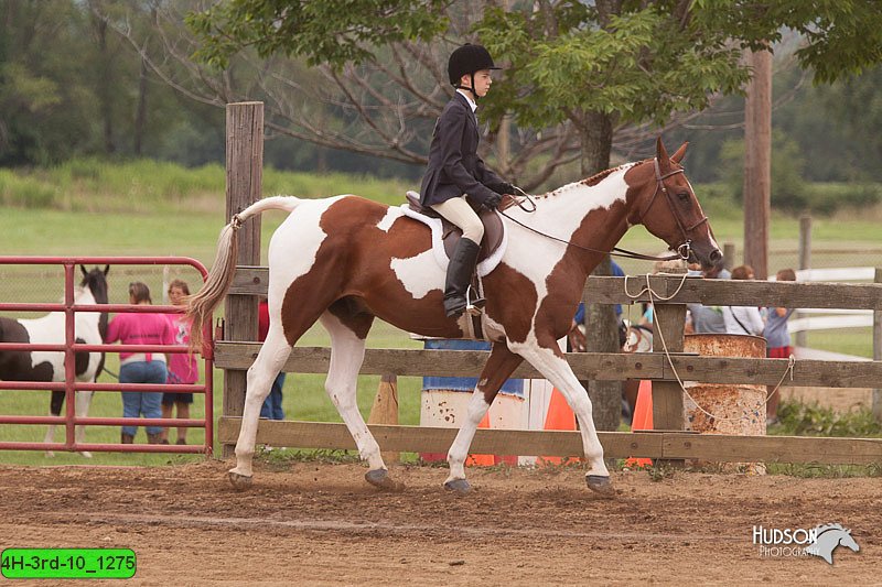 4H-3rd-10_1275.jpg