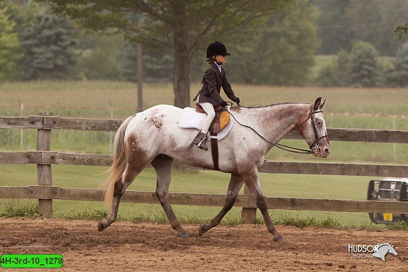 4H-3rd-10_1278.jpg