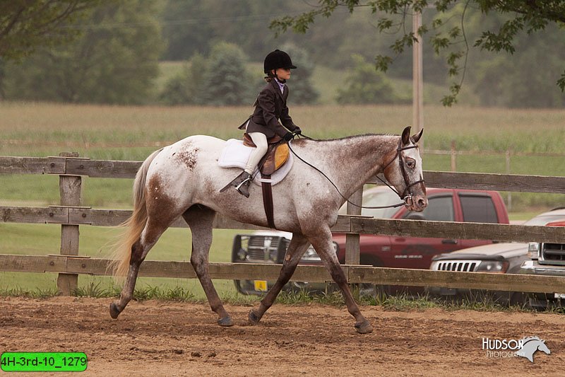 4H-3rd-10_1279.jpg