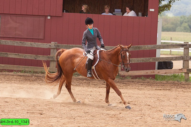 4H-3rd-10_1341.jpg