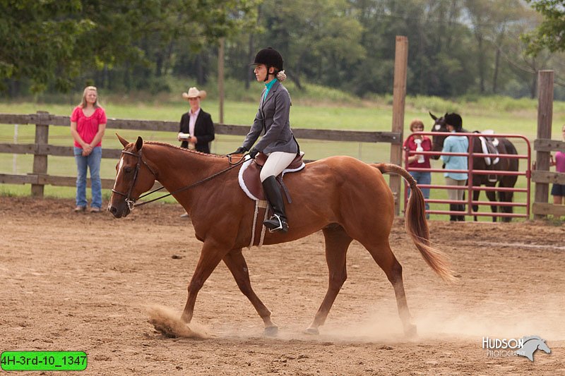 4H-3rd-10_1347.jpg