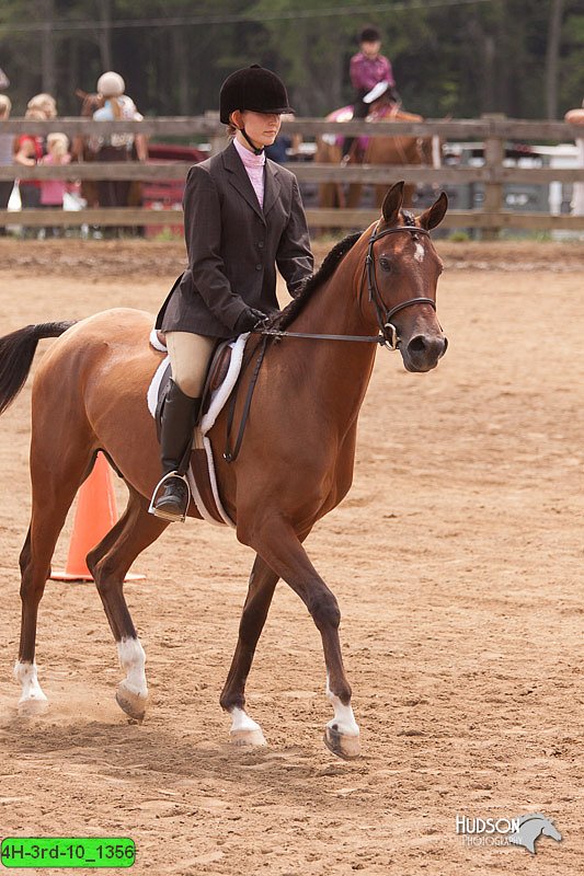 4H-3rd-10_1356.jpg