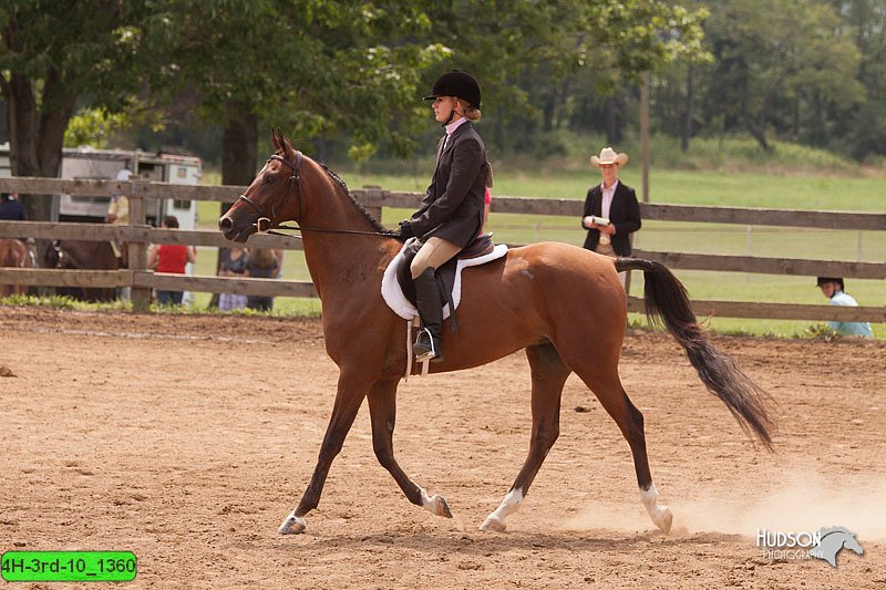 4H-3rd-10_1360.jpg