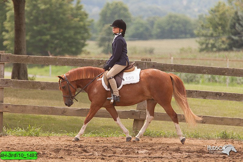 4H-3rd-10_1483.jpg