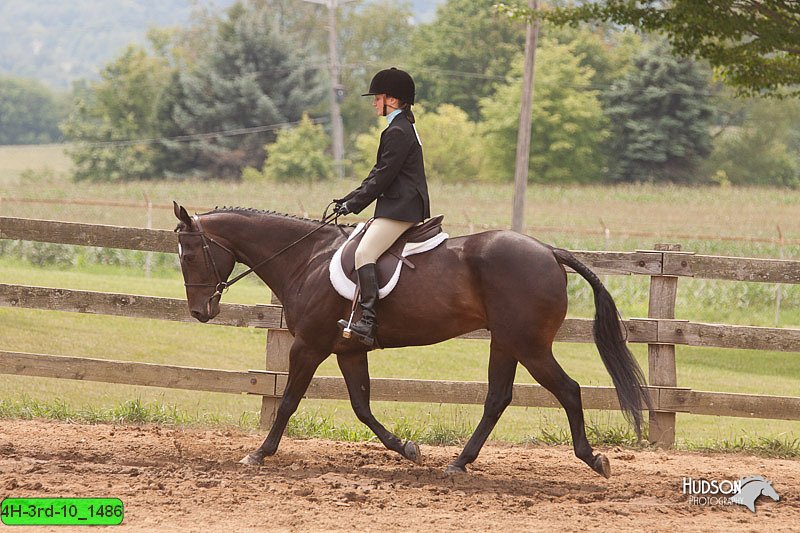 4H-3rd-10_1486.jpg
