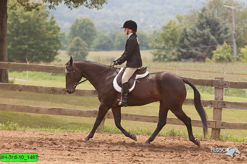 4H-3rd-10_1487.jpg