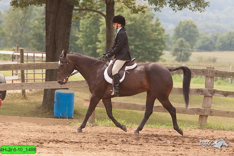 4H-3rd-10_1488.jpg