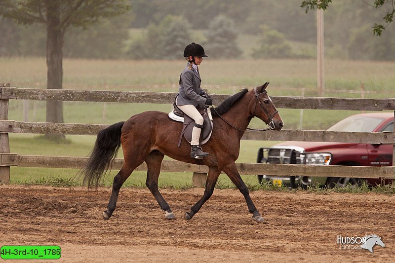 4H-3rd-10_1785.jpg