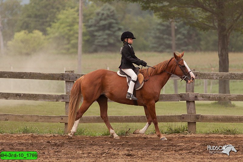 4H-3rd-10_1786.jpg