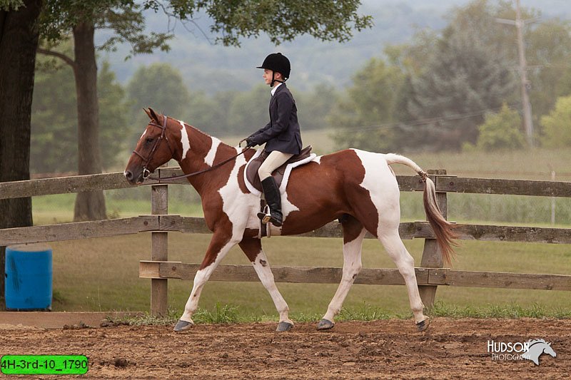4H-3rd-10_1790.jpg