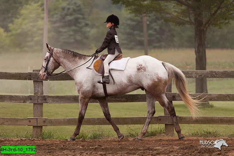 4H-3rd-10_1792.jpg