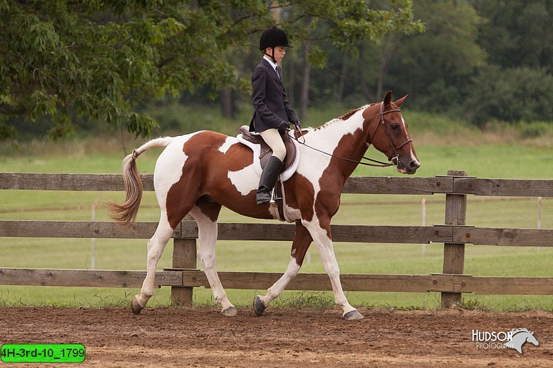 4H-3rd-10_1799.jpg