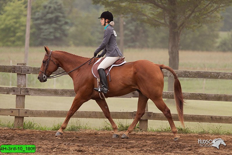 4H-3rd-10_1806.jpg