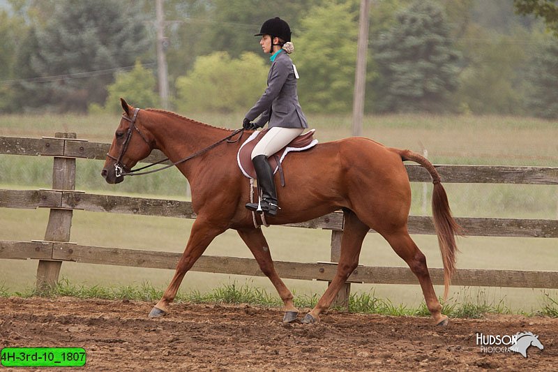 4H-3rd-10_1807.jpg
