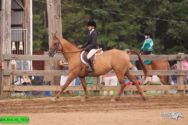 4H-3rd-10_1832.jpg